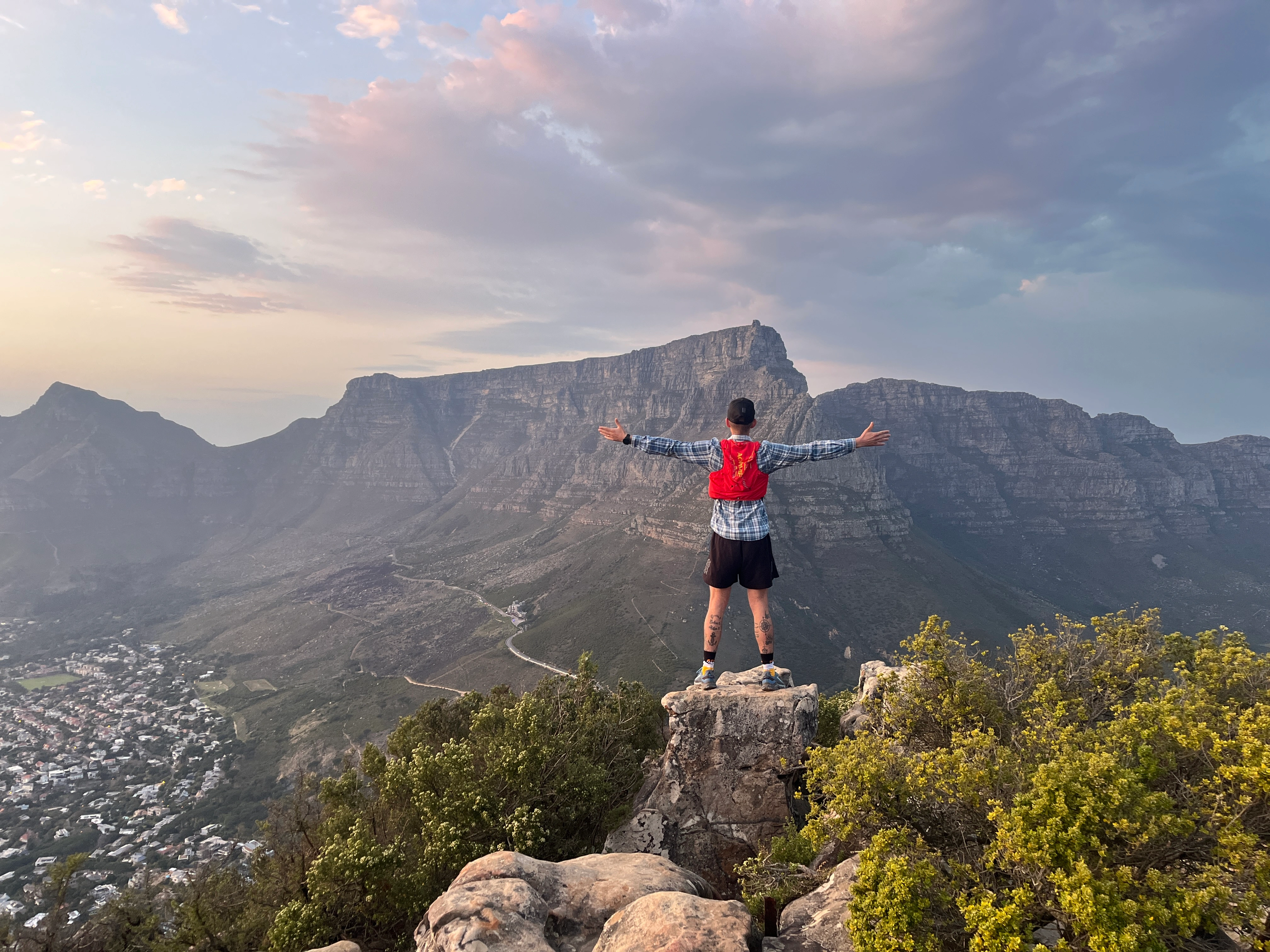 Lion's Head